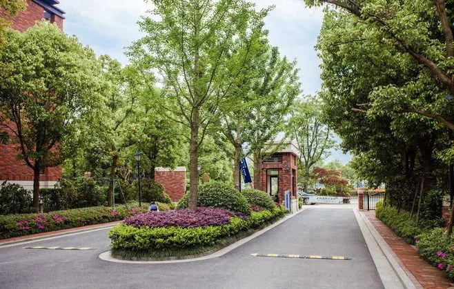 Tree-lined entrance road with flowering beds