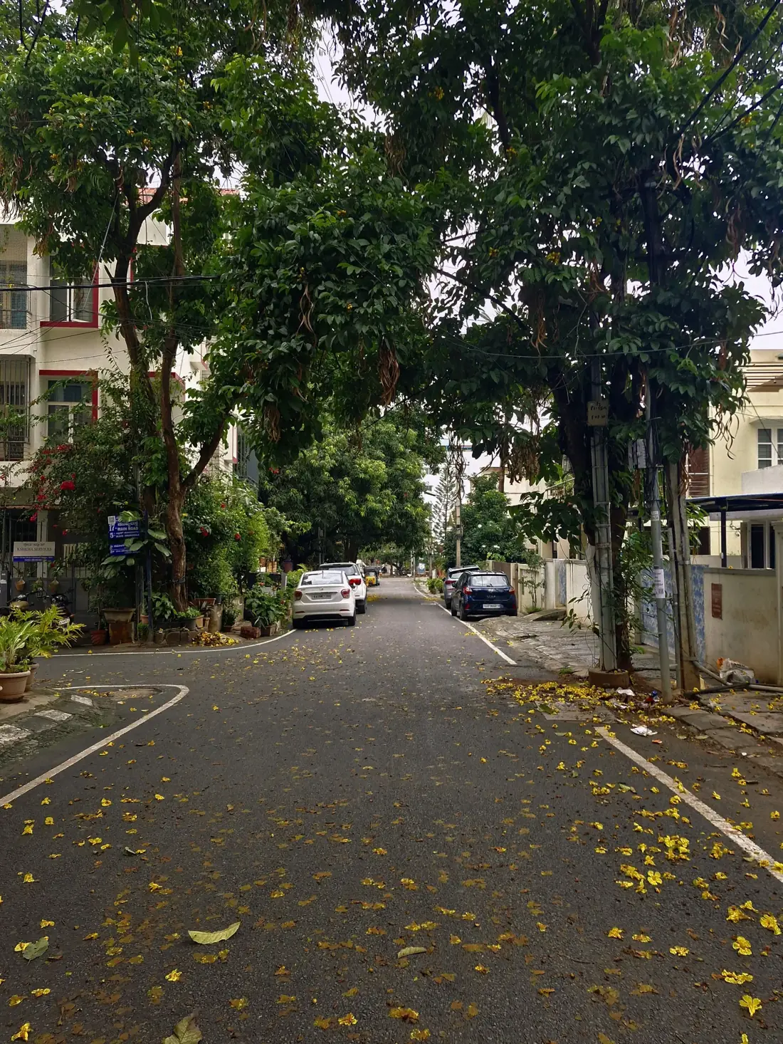 Quiet tree-lined residential street in Anna Nagar